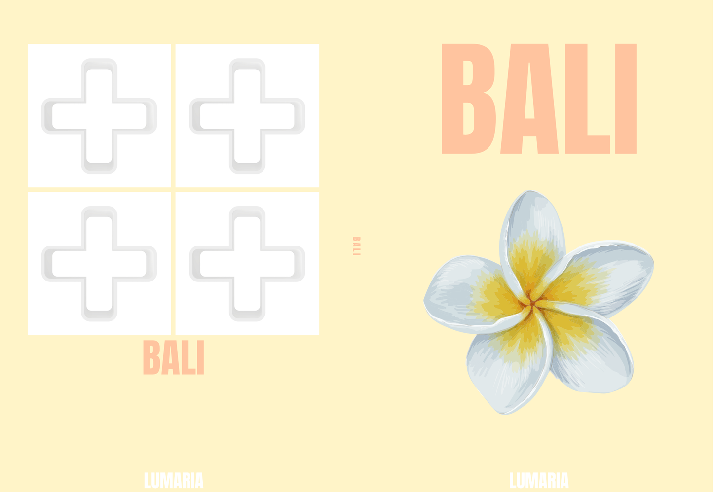 Bali 2