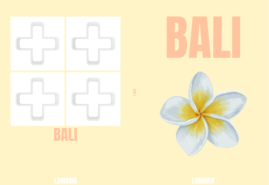 Bali 2