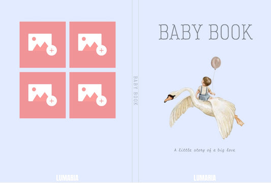 Baby Book 2